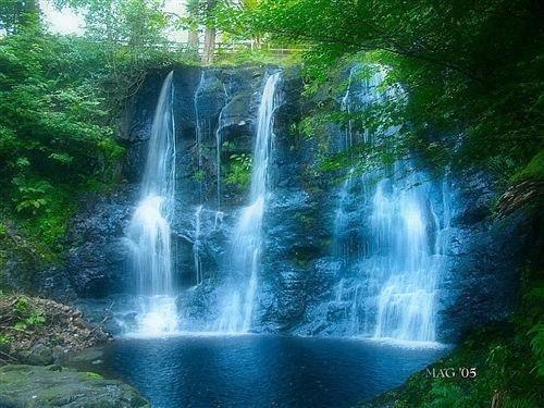 裴沁妍盛鸣辰叶沐琛免费阅读最新章节 同我萤火间叙梦免费阅读裴沁妍盛鸣辰叶沐琛小说