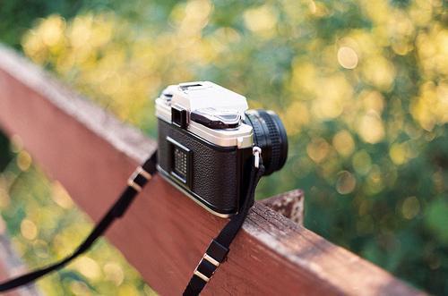 苏清妍周执野的小说叫什么 苏清妍周执野苏清妍周执野全文