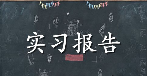 高中教师顶岗实习报告优秀范文