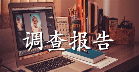 杂粮种植专业合作社调查报告