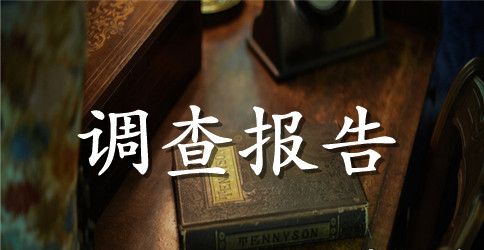 射阳湖镇中小学困境儿童调查报告