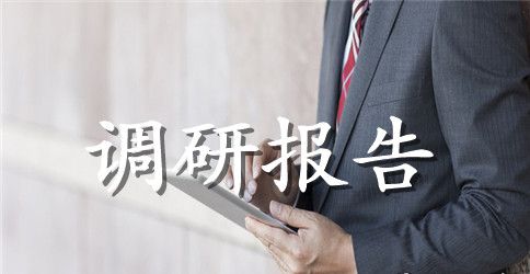 地方人大代表视察工作调研报告范文