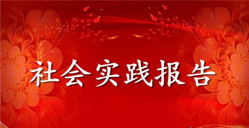 2023年医院社会实践报告总结格式【三篇】