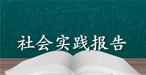 社会实践报告模板【三篇】