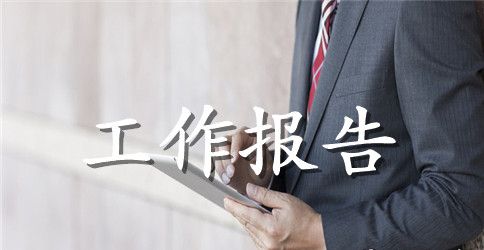 施工进度工作报告优秀范文