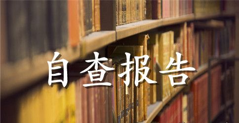 转作风提效能自查报告范文2023