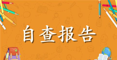 关于个人自查报告范文