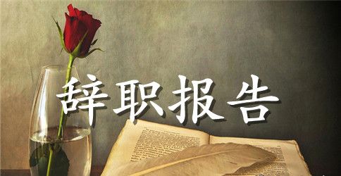 2023社会实践报告1000字