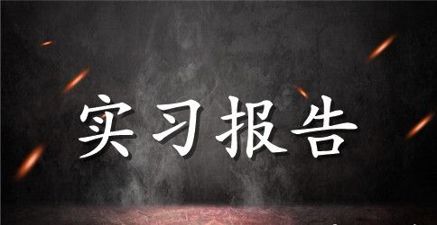 化学类实习报告汇总九篇