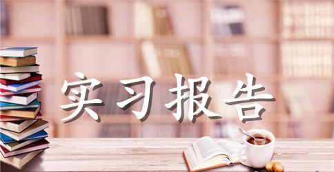 2023年大学生会计实习总结范文1000字