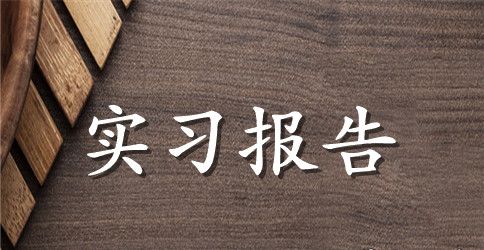 【热门】实训实习报告四篇