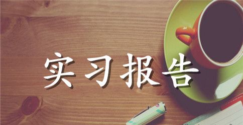 【实用】顶岗实习报告十篇
