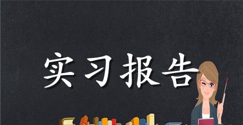 【必备】学生的实习报告10篇