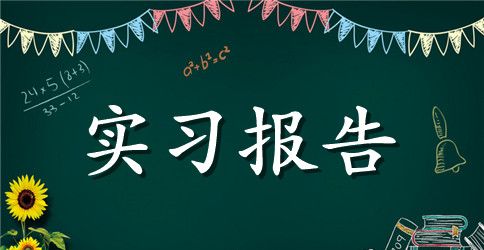 大学生助理实习报告