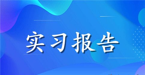 高校实习报告4篇