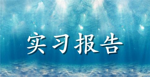 2023年律师的实习工作总结