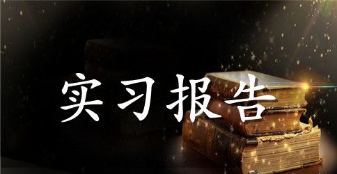 地质学的相关实习报告分析