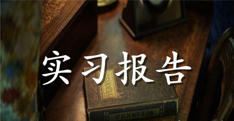 暑期社会实践报告的格式