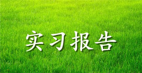 水务局实习报告3篇