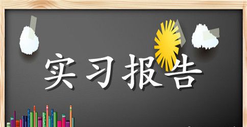 实习报告的优秀总结范文