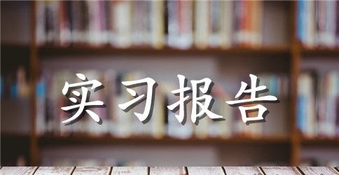 最新大学实习报告范文