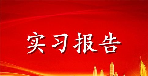 信息专业实习报告