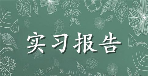 大学生暑假社会调查实习报告