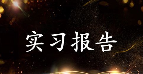 电子商务实习总结范文1000字