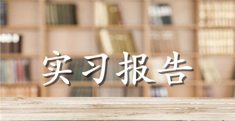 大学生物流实习报告5000字