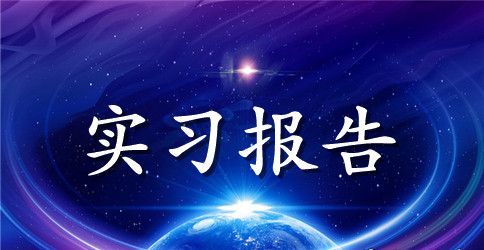 2023税务事务所实习报告范文