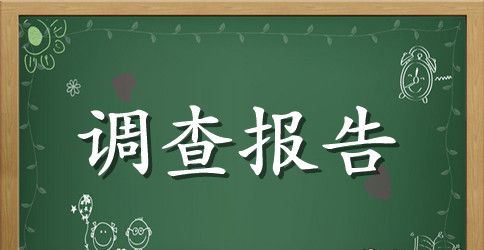 初中学生消费情况调查报告