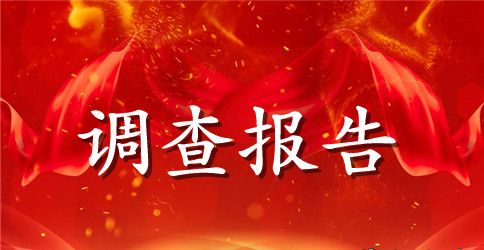 关于中学生消费的调查报告