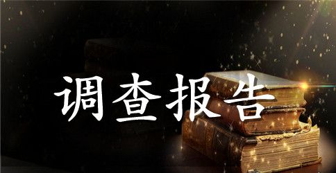 关于市防洪排涝工作情况的调查报告范文