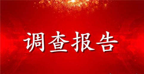 寒假社会实践调查报告格式要求