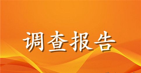 关于行业调查报告范文