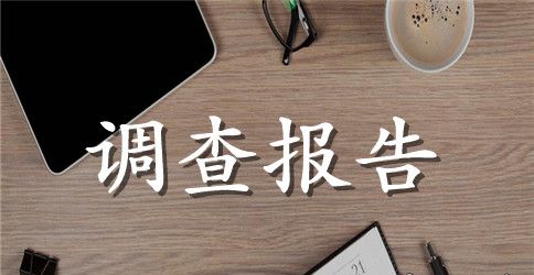 学生调查报告模板集锦六篇