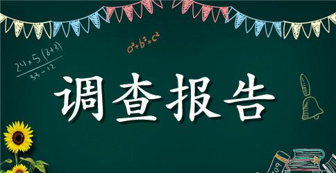 实用的社会调查报告模板集锦10篇