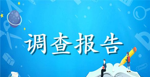 实用的市场调查报告范文汇编十篇