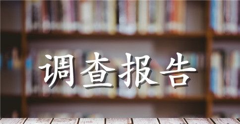 实用的学生调查报告范文汇编八篇