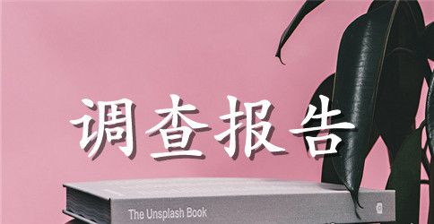 实用的社会调查报告模板集合5篇