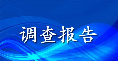 实用的社会调查报告范文合集七篇