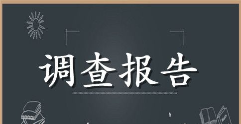 实用的社会调查报告范文集锦八篇
