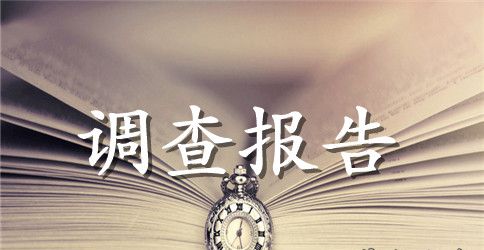 实用的市场调查报告模板集合十篇