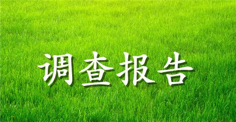 当代大学生消费情况调查报告范文