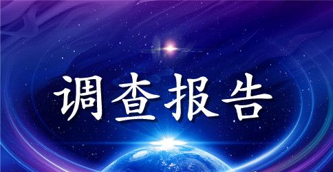 环保调查报告模板锦集6篇