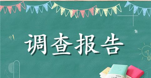 【精品】学生调查报告范文汇总9篇
