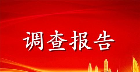 【精华】市场调查报告范文八篇