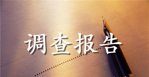 【实用】学生调查报告范文8篇