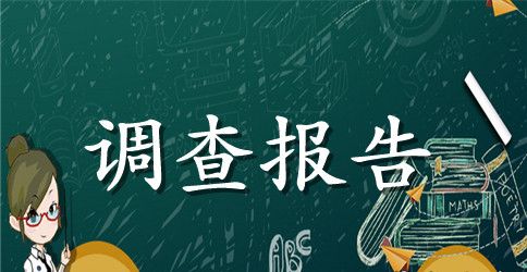 学生调查报告模板合集6篇