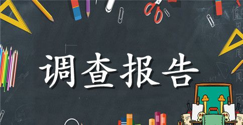 湖南省环境污染调查报告范文